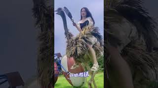 Ostrich Riding  #animals #ostrich #ostrichriding  #horseride #horse