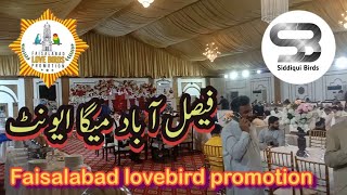 Faisalabad Mega Event || Faisalabad lovebird promotion platform