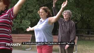 V Centrálním parku Na Pankráci se cvičí Tai-chi i v roce 2023