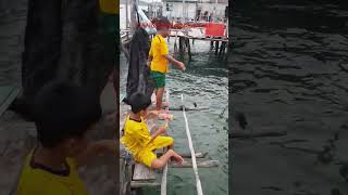 MANCING bersama bocil di ujung pelabuhan