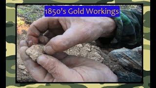 Metal Detecting Elusive Gold Nuggets of Castlemaine.(Episode 164)