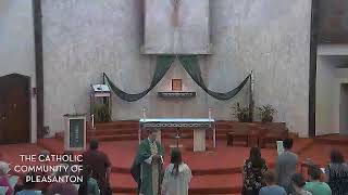 Sunday Mass Live Stream - June 30, 2024: Thirteenth Sunday in Ordinary Time