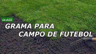 Grama para campo de Futebol - Gramas Via Verde