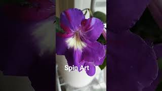 Spin Art