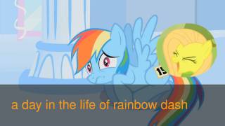 a day in the life of rainbow dash