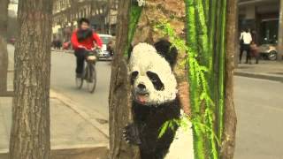 Artist paints animals on trees in China