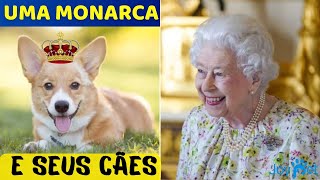 OS CACHORROS DA RAINHA ELIZABETH  🐾🐕‍🦺🐶  RAÇA CORGI