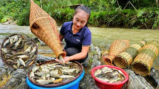 How to trap fish | Use bamboo baskets to trap stream fish during flood season | Ly Thi Tam