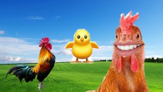 Chicken life 😅| Chicken voice | Chicken sounds