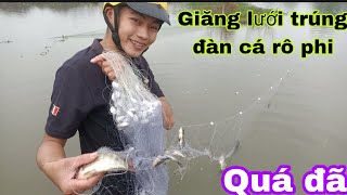 HQC VLog | Giăng lưới đuổi cá giữa trời mưa bão trúng ngay đàn cá rô phi