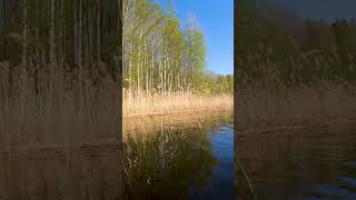 Прогулка на лодке / boat trip