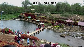 WISATA AYIK PACAR JARAI LAHAT MANDI AIRNYA DINGIN