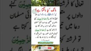 ALLAH | Farman Mustafa ﷺ #viralvideo #islamicquotes #love  مانگ کیا مانگتا ہے #viral #fypage #share