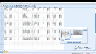 Calculation of Cronbach's alpha in SPSS