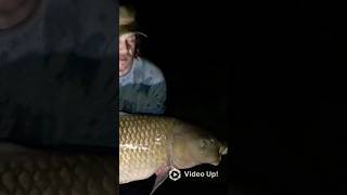 36lb 8oz PERSONAL BEST COMMON CARP #carpfishing #fishing #nature