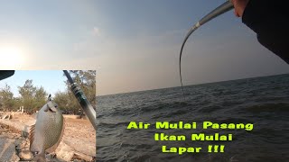 Menyesal !!! Tahu Begini Kenapa Tidak Dari Dulu Mancing Di Spot Ini