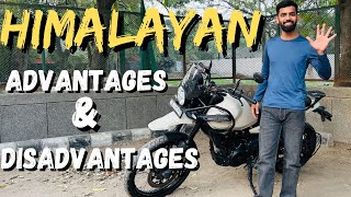 5 Advantages and 5 disadvantages of Himalayan 452 should i wait or buy?