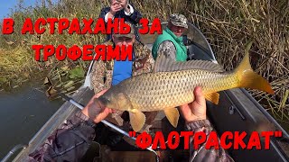 Рыбалка на Астраханских Раскатах / База "Флотраскат"/Сазаны Гиганты порвали все снасти