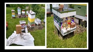 Lunch and Learn  Life of a Beekeeper