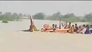 Flood in chenab river today | chenab river | zaidi tv