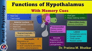 Functions of Hypothalamus | Hypothalamus Part 2