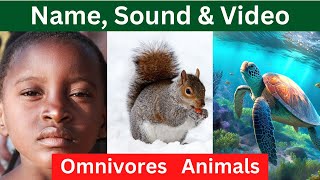 OMNIVOROUS ANIMALS Names and Sounds | Learn Omnivore Animals