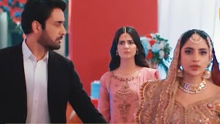 Bayhadh Episode 36 Promo | Tomorrow at 8:00 PM only on Har Pal Geo