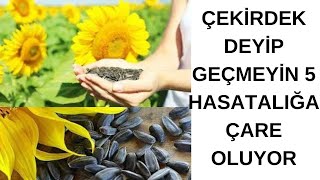 1 Avuç Çekirdek Yemek Vücudunuza Bunları Yapıyor |  ay çekirdeği günde ne kadar yenmeli