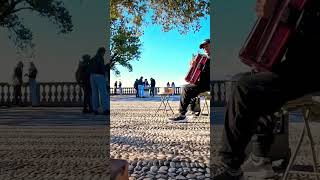 #streetmusicians #shorts #youtube #live #foryou #cute #france