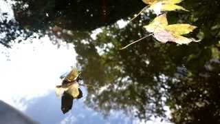 Nokia 808 Pureview - Autumn compilation