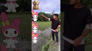 3 August 2024,potul to,dog,cat,,manki, tiger and short magic VFX video,, viral,,