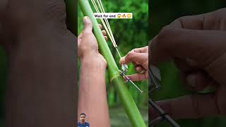 Wait for end 😱🔥😳 #bamboo #satisfying #bambooshoot #nature #bamboohut #bamboogun #bamboobamboo #diy