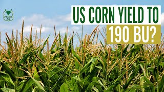 US Corn Yield at 190 bu?