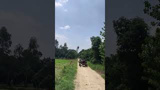 Village Kamalpur Bulandshahar #villagelife #farming #travelvlog