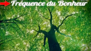 432 hz Libère Fréquence du BONHEUR 【Nouveau 2023】 Libérer Stress, Anxiété ,Endorphine , Sérotonine