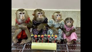 4 Siblings Sit Very Obediently Waiting Mom To Come & Feed Them Candies ,