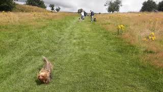 CHASE First Hike Bakewell Monsal Trail River Wye Circular Walk Peak District UK