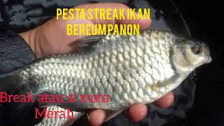 pesta streak ikan bereum panon -break atau mata merah di sungai kecil !!!!!!!!!!!