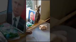 ТАГИР И ДЯДЯ ВОВА ПУТИН. Калмыцкий малыш Тагир знает кто такой Путин. #калмыкия #тагирджамбинов