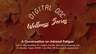 A Conversation on Adrenal Fatigue | WEBINAR