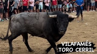 VILAFAMÉS 16.8.24 TORO CERRIL DE LA QUINTA