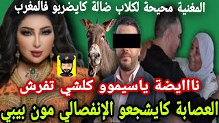 دنيا بطمة نقض لكلاب ضالة كايضربو فالمغرب ويشجعو الانفصاليين قلبو على لحبس🚨🚨😱😡😡