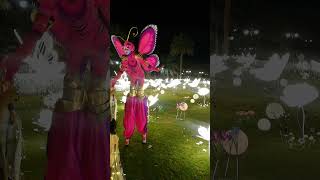 Aaaa tenu garden di sair krawan | butterfly in garden #butterfly #garden #flowers #festival #viral