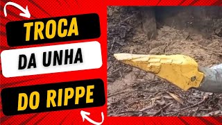 Troca da luva do Rippe.