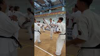 Triple trouble #fullcontact #combatsport #kyokushin #sports