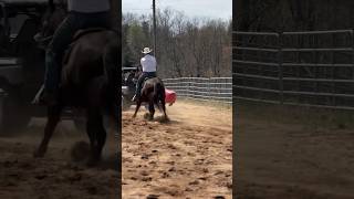 Roping the sled dummy #roping #rodeo #cowboy #horses #ropehorse #horsetraining #horse