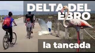 Ruta en bicicleta por el Delta del Ebro - Poblenou del Delta a La Tancada