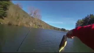 largemouth bass double up