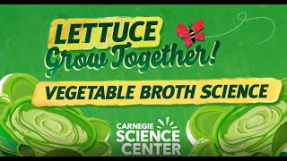 Vegetable Broth Recipe — Lettuce Grow Together