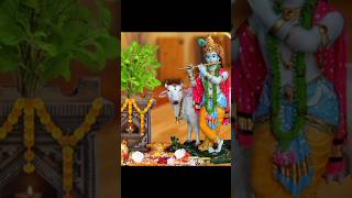 ❣️Tulsi Mata 😍ka vivah🙏...🎶🎶